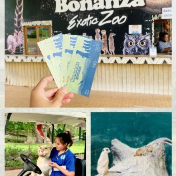 bonanza-zoo
